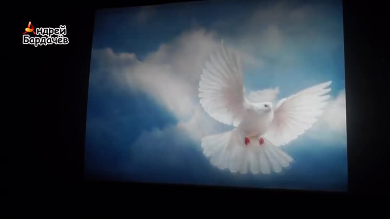 Встреча матерей и вдов погибших ополченцев