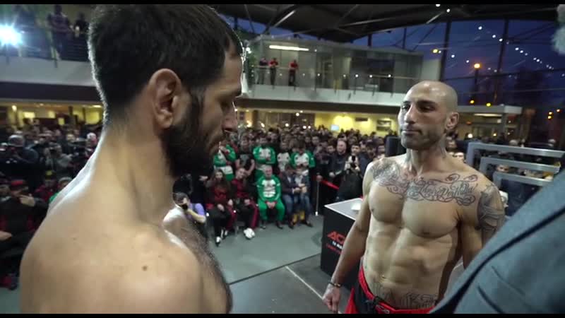 Стердаун малютин эмерсон