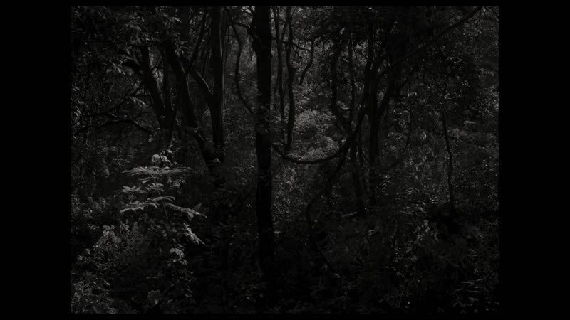 And what is the summer saying (2018) dir payal kapadia