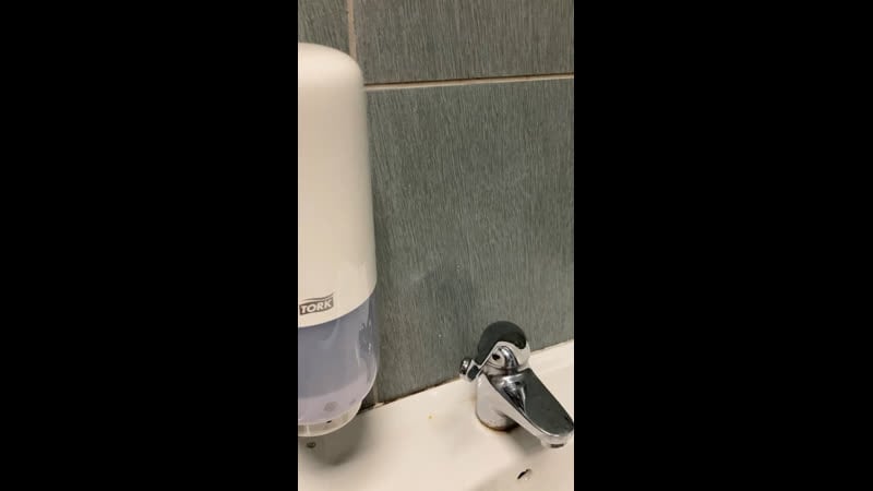 В туалете сочинского тц моремолл застряла мама с ребёнком инвалидом