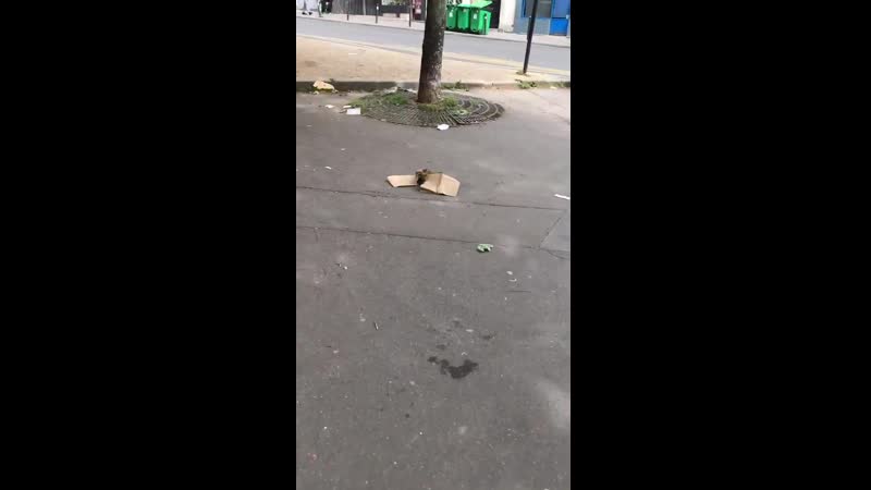 Как похорошел париж при коронавирусе