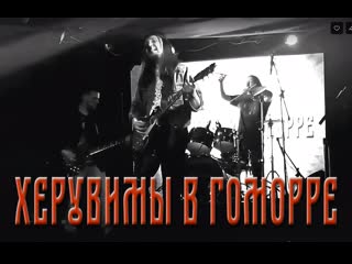 Херувимы в гоморре "чёрный пёс", live