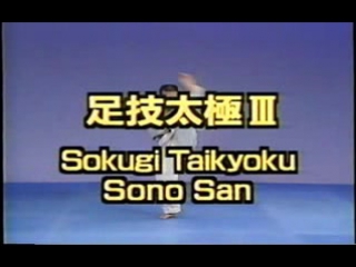 Karate kyokushin sokugi taikyoku sono san