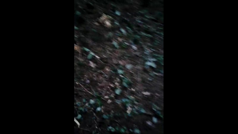 2 сижу около костра