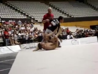 Vinny magalhaes chris weidman (flying armbar)