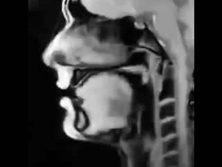 Slp stephen 20200925 0001 mp4