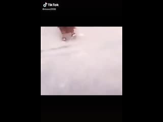 Большой член большие яйца бустер