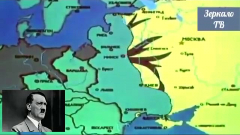 Не лезь, она тебя сожрет