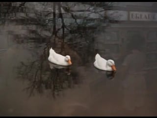 Геркулес в нью йорке/hercules in new york (1969) | арнольд шварценеггер | артур аллан сейдельман