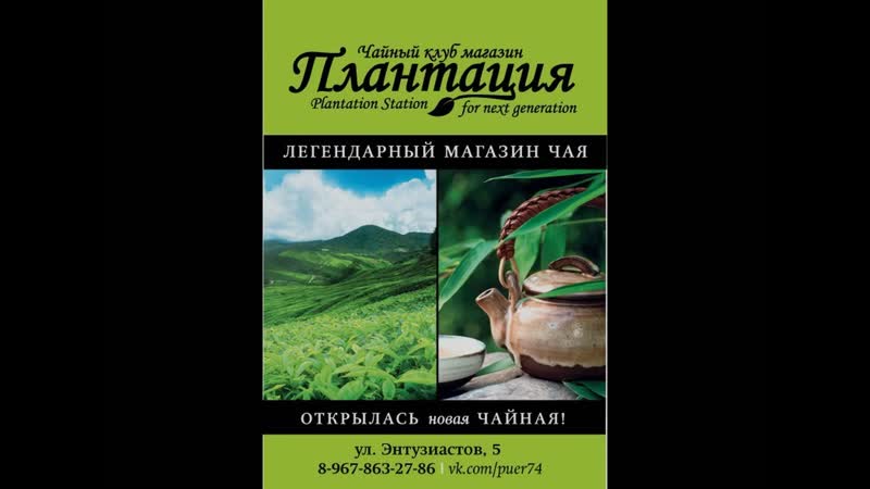 Backstage чайная плантация