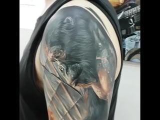 Aleksandr "sigal" romashev