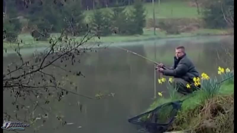 Любителю поплаа! зеркальные карпы на поплавок