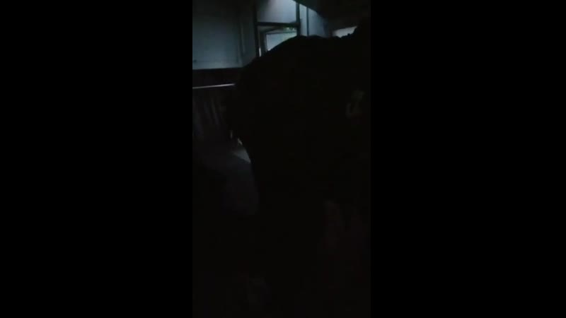 Гомель приступ эпилепсии у задержанного на пикете