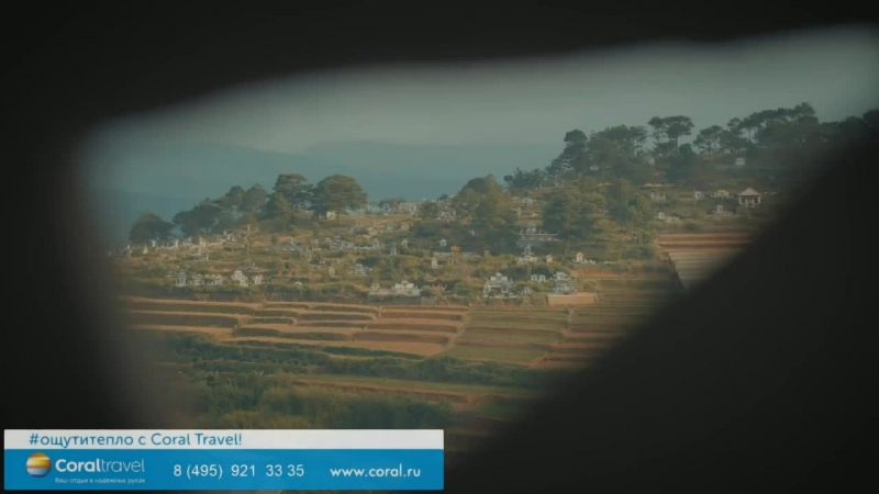 Bзвестный юрист эльман пашаев ответит на ваши вопросы каждую среду вечером!