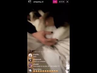 #ten & louis | #yangyang insta live 200619