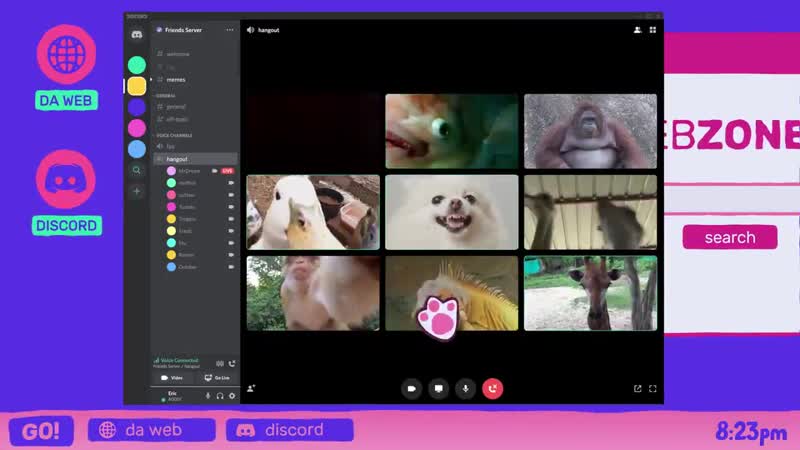 Discord server video chat
