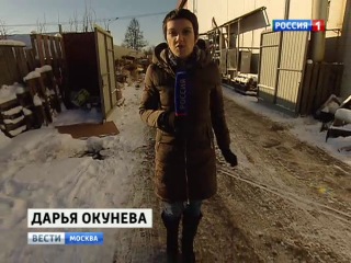 Пуль porn video – Живодеры выпустили в овчарку около 200 пуль