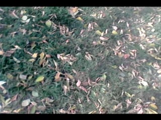 Vid 20151008 141026