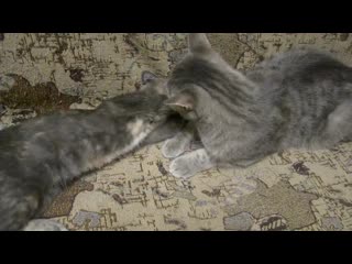 Варя и маршал 05 02 20