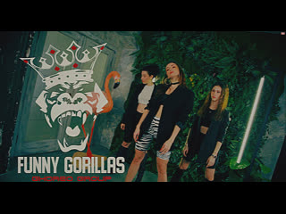 Funny gorillas // choreo group elefante