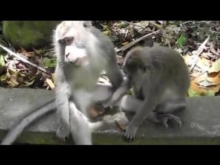 Кайфуем ) 480