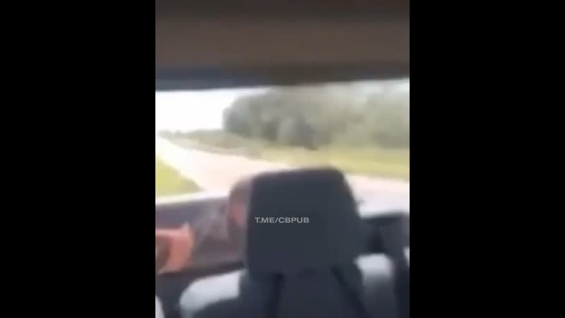 Полицейские жёстко троллят «мигрантов», пытающихся попасть в чужую страну, спрятавшись в автомобилями туристов