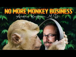 Dr andrew kaufman no more monkey business