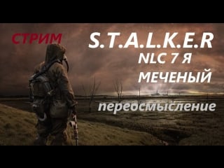 S t a l k e r nlc 7 я меченый переосмысление стрим онлайн #9