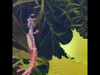 Explorer ocean 20200927 170110 0