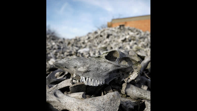 Разлив химикатов на заводе в сербии