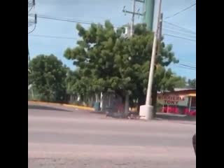 Sicario in culiacán shooting at police with a 50 rifle mexico