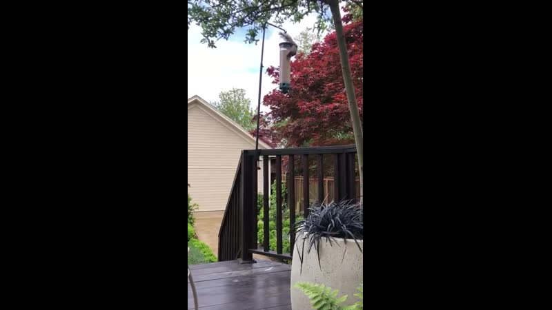 Кормушка для птичек