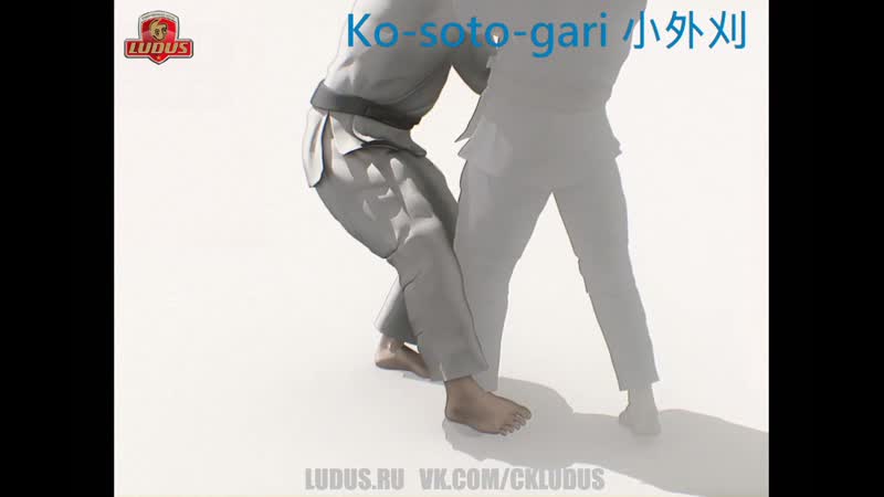 Ko soto gari (зацеп стопой)