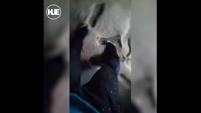 Хабаровск побил рекорд по раннему снегопаду