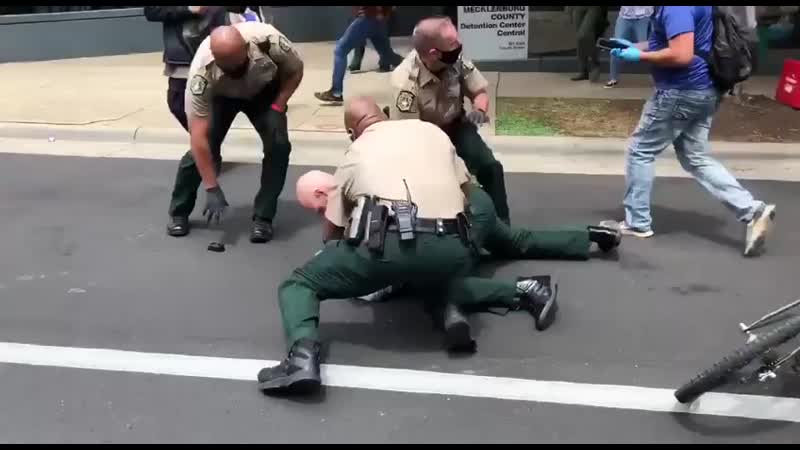 Крутят, винтят митингующих, словно грибочки в лесу собирают