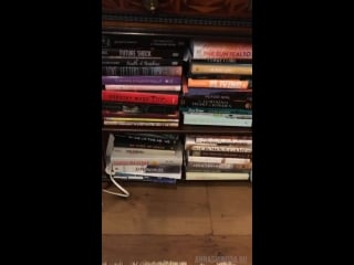 Anna shinoda instagram story bookshelf
