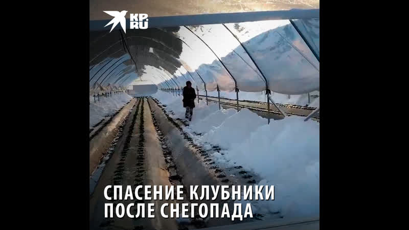 Крымская клубничка