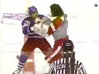 Probert vs domi