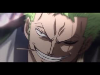 ` one piece vine / edit ☠ monkey d luffy & roronoa zoro