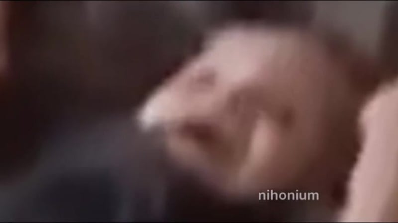 Тщетно бытие