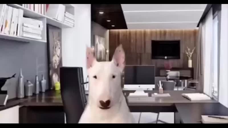 Купила стиральную машинку (vhs video)