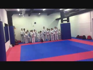 Заключительная тренироа в клубе таэквон до «волна» 28 12 2018 г