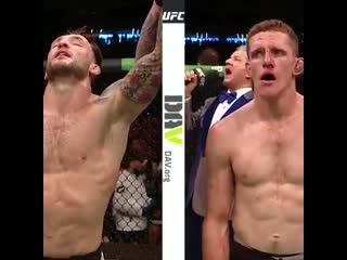 Ufc 243 brad riddell vs jamie mullarkey