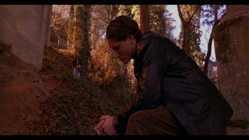 Foxfire / ложный огонь (1996)