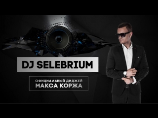 "dj selebrium" @ пластилин