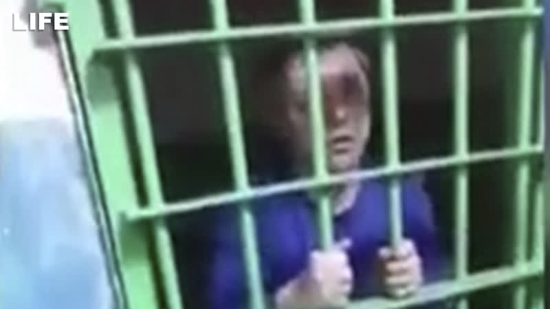 "сволочь, иди сюда!" пьяный в стельку депутат устроил дебош в отделе полиции