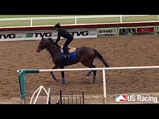 Mckinzie jogging at del mar