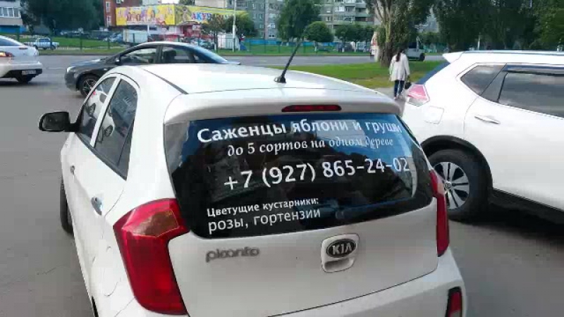 Клеим рекламу на заднее стекло kia picanto нюр чебоксары 2017
