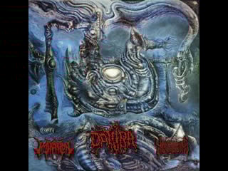 Split ultrabasic breed 2019 datura ⁄ imitation ⁄ vanstorbing insolobridishr