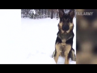 Подборка неудач связанных с погодой